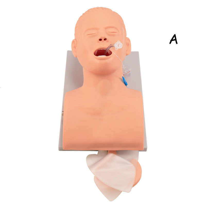 Medical Lab Management - Modelo de ensino de manequim de